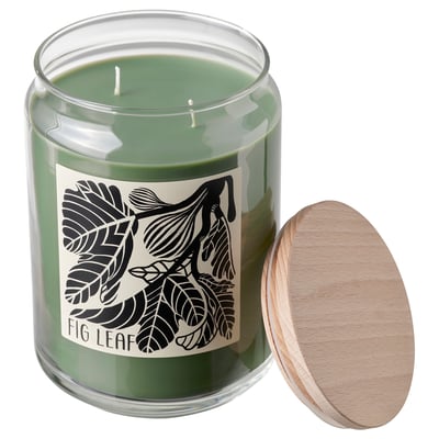 PRAKTHÄGER Vela aromática+vaso+tapa/2 mechas, Hoja de parra verde, 100 hr