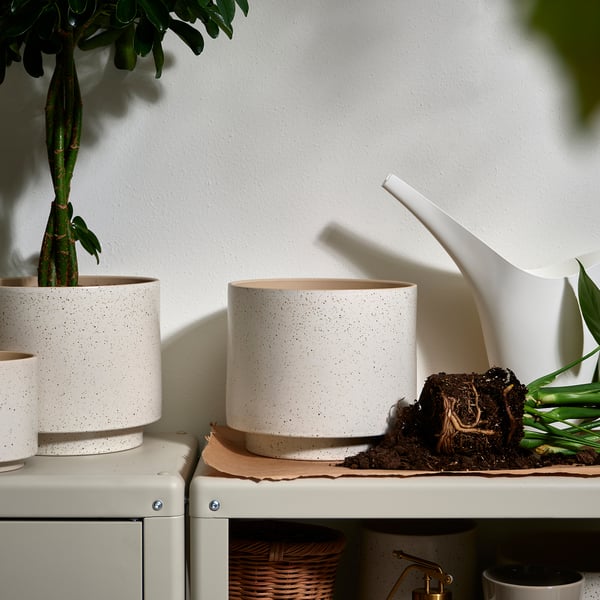 SANDKÖRSBÄR Maceta, int/ext/beige, 19 cm