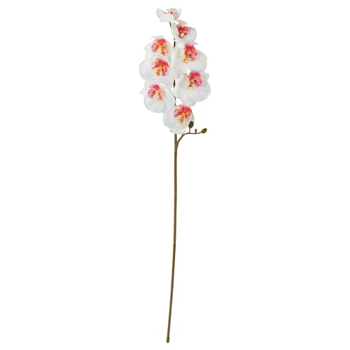 SMYCKA Flor artificial, int/ext/orquídea blanco, 60 cm