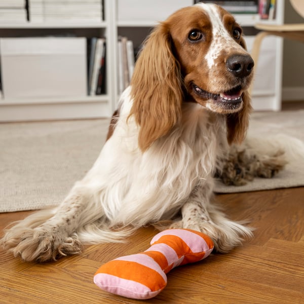 UTSÅDD Juguete de peluche para perro, rayas/rosa claro naranja vivo