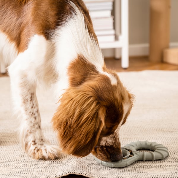 UTSÅDD Juguete para perro, Rellenable con comida/verde grisáceo