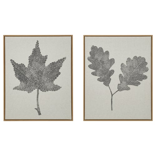 BLODFLÄDER Gambar, daun hitam, 40x50 cm