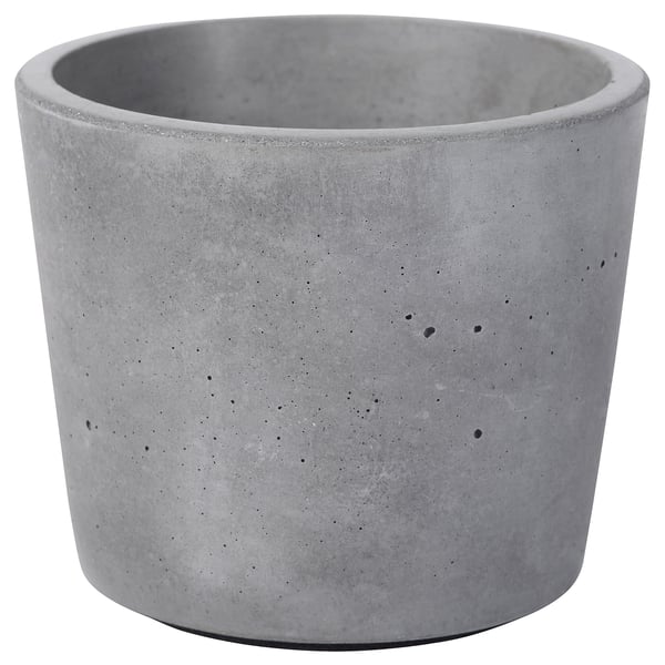 BOYSENBÄR Pasu, dalam/luar kelabu muda, 6 cm