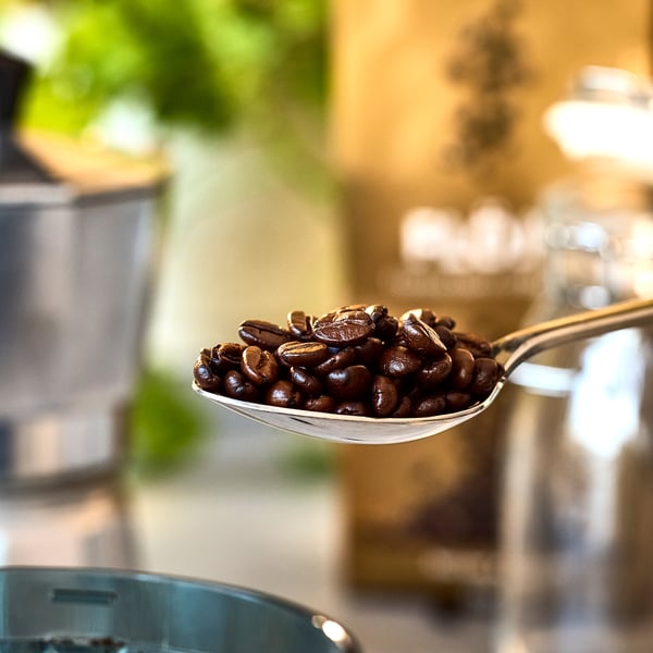 FLÖJT Biji kopi penuh