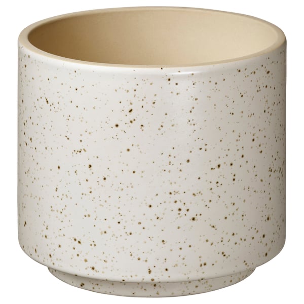 SANDKÖRSBÄR Pasu, dalam/luar/kuning air, 12 cm