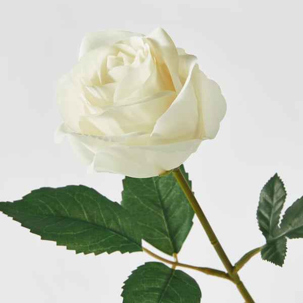 SMYCKA Bunga tiruan, dalam/luar/Rose putih, 40 cm