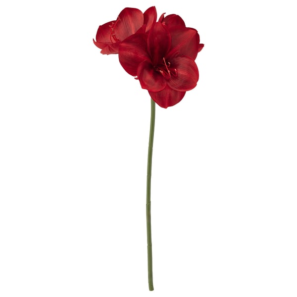 VINTERFINT Bunga tiruan, dalam/luar Amaryllis/merah, 60 cm