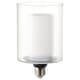 Decorative LED lights bulbs