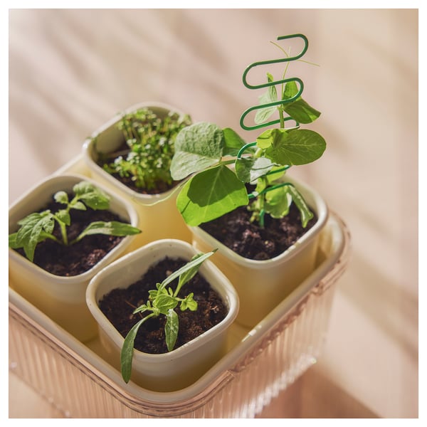 DOFTRIPS Growing set, transparent/off-white, 16x16x14.5 cm