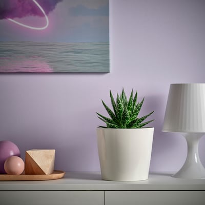 Small potted SUCCULENT in white ceramic fits perfectly on shelf with lamp.