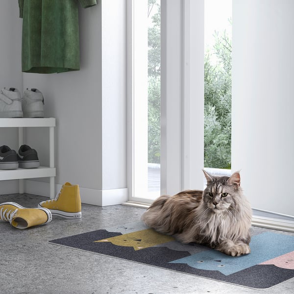 Grey cat sits on colourful TURISTVÄG mat by doorway, shoes nearby.