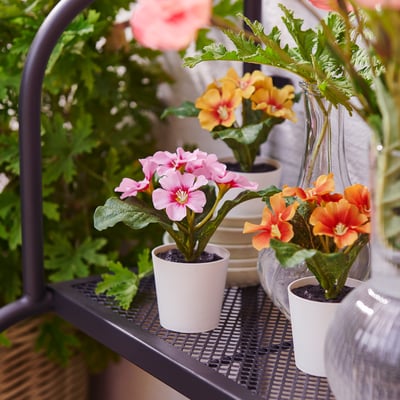 FEJKA Artificial potted plant, in/outdoor/primrose mixed colours, 6 cm