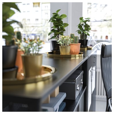 Brass tray on counter with potted plants, showcasing stylish, luxury design with protective edge.