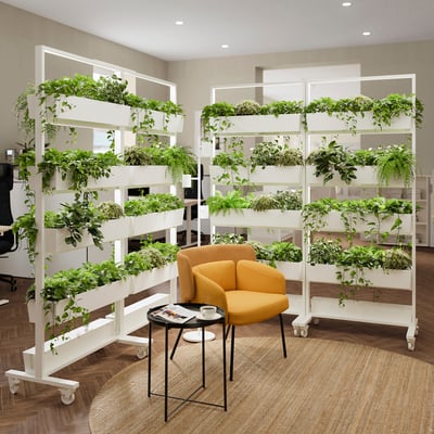 MITTZON white plant frames divide office space, with orange chair, small black table, greenery.