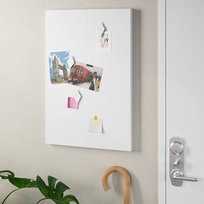 Magnetic memo board with notes, photos, and postcard. Cane leans right, plant left.