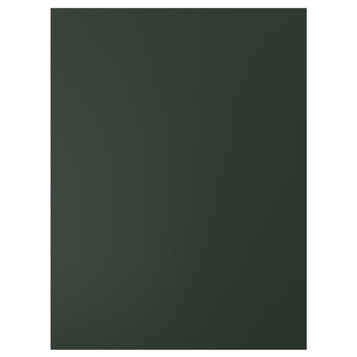 HAVSTORP باب, أخضر زيتوني, 60x80 سم