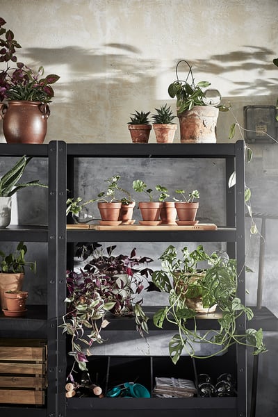 Black metal plant shelf with terracotta pots and various green plants, perfect for indoor gardening.