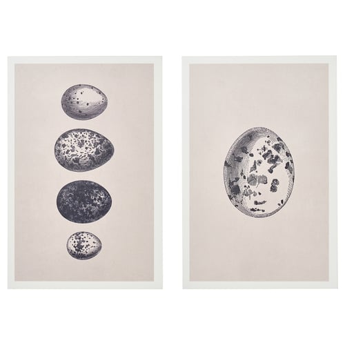 The BJÖRNAMO picture set with black-and-white nature-inspired art, framed in white.