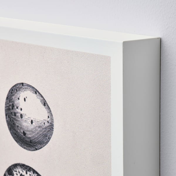 Framed artwork on light wall, black & white circular design.