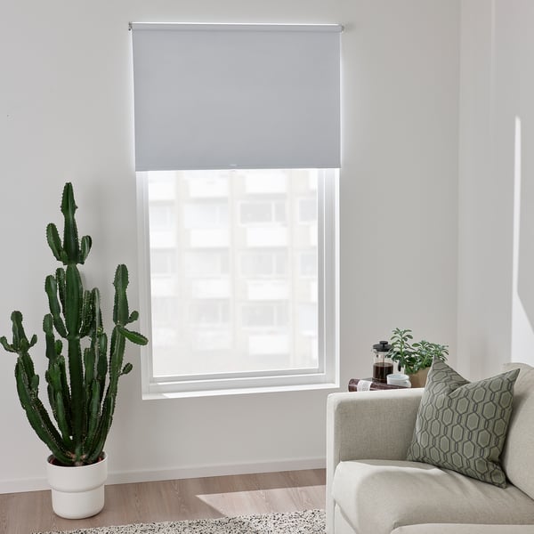 Modern white roller blind covers large window, flanked by cacti and cosy couch with green pillows.