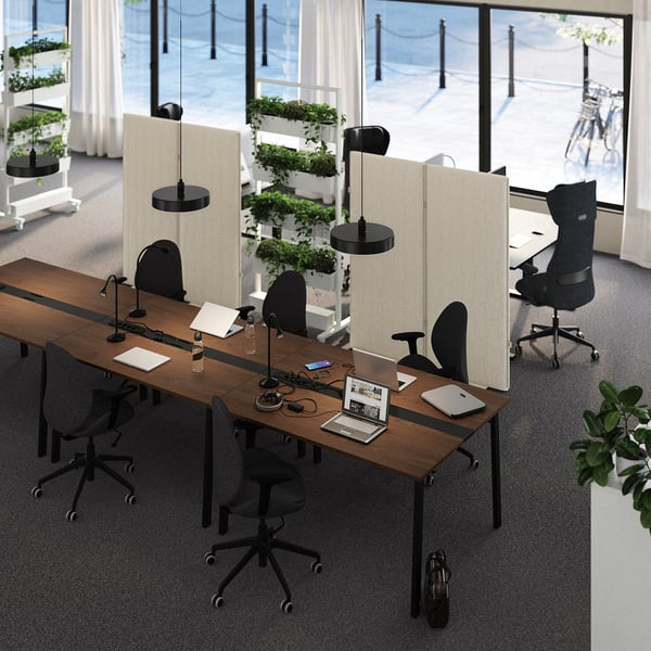 Modern office with MITTZON tables, black chairs, laptops, plants, natural light.