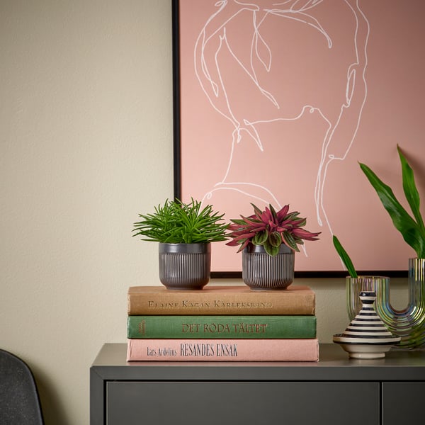 Small HIMALAYAMIX plants in black pots sit atop stacked books, next to colourful vases on a cabinet, against a wall with abstract art.