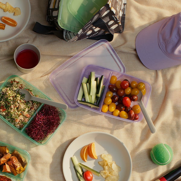 Picnic scene with tupperware containers holding food.