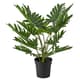 Artificial plants & flowers