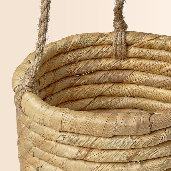 SANDÖDLA وعاء نباتات يُعلّق, ياقوتية الماء, 9 سم