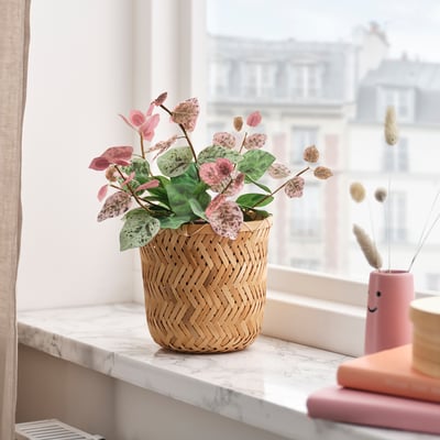 SMÅTÄRNA نبات صناعي في آنية, ورق/الياسمين الآسيوي, 10 سم