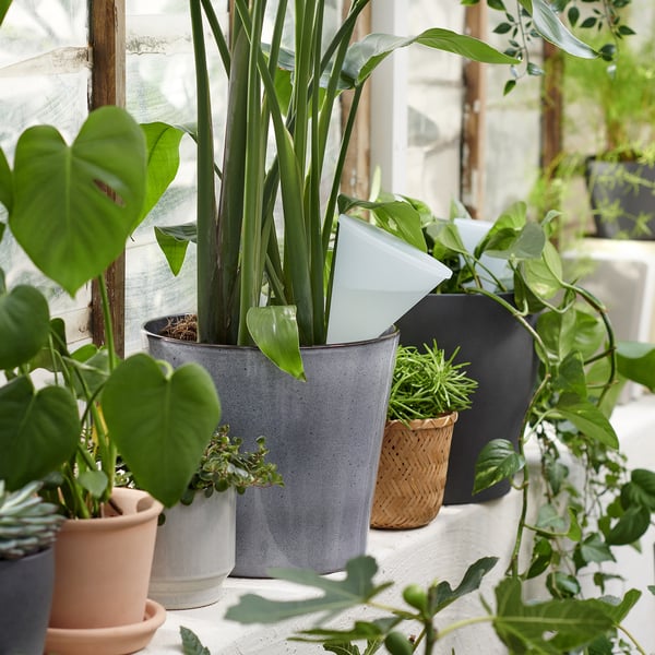 SVÄMSKOG أداة للسقي الذاتي, بلون الطين/شفّاف, 70 سل
