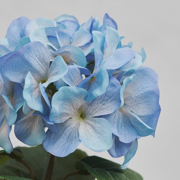 SMYCKA Artificial flower, in/outdoor/hydrangea blue, 55 cm