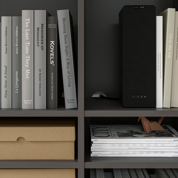 Bookshelf with various books and a black speaker; neatly organised with quality furniture design.