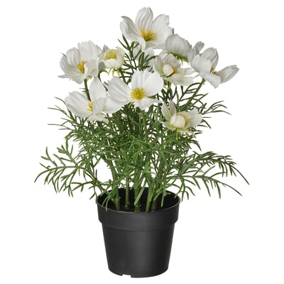 FEJKA Veštačka biljka u saksiji, unutra/spolja/poljska ljubičica bela, 9 cm