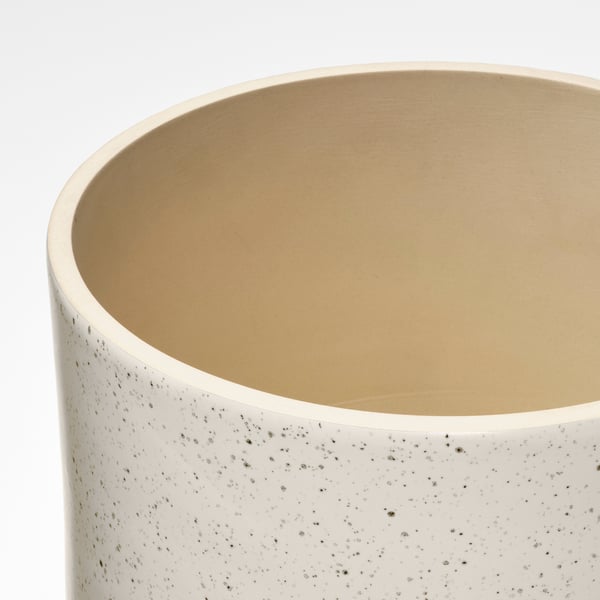 SANDKÖRSBÄR Saksija, unutra/spolja/bež, 19 cm