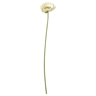 SMYCKA Veštački cvet, unutra/spolja mak/bela, 51 cm