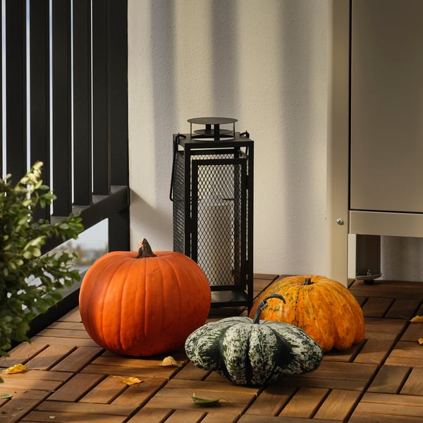 CUCURBITA Decoration pumpkin, 20 cm