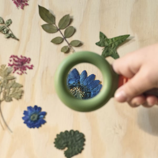 Childs hand using a toy magnifying glass to examine a blue flower petal on a wooden surface surrounded by various leaves and flowers.
