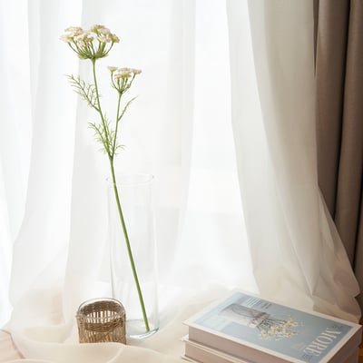 Clear vase with white flower on windowsill, book, and soft light from curtains.