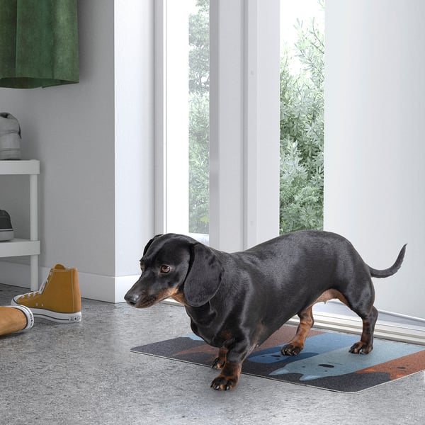 Black dog on blue/brown TURISTVÄG mat near window, with shoes on white shelf.