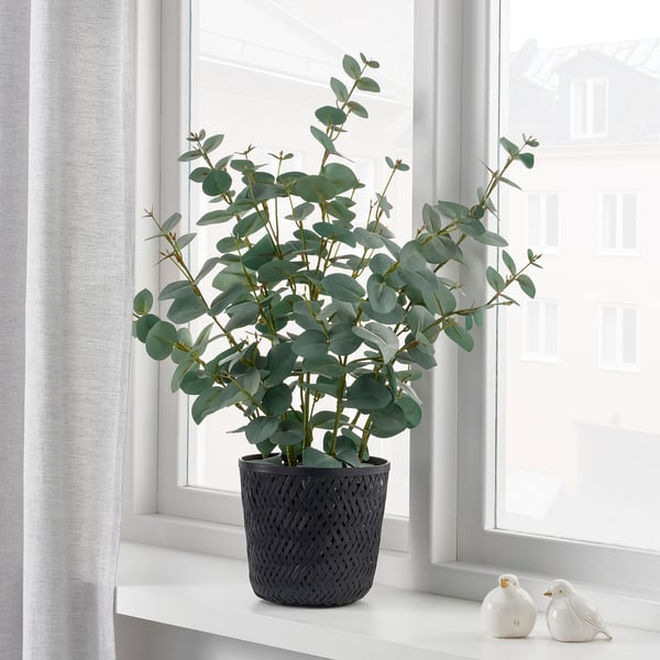 A potted plant on a windowsill, lightweight and handmade, by skilled craftspeople.