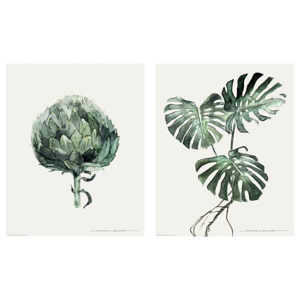 Bilden visar två distinkta gröna växtillustrationer, en med detaljerad kronärtskocka, en annan med tropiska blad, på vit bakgrund.
