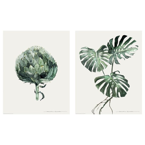 Bilden visar två distinkta gröna växtillustrationer, en med detaljerad kronärtskocka, en annan med tropiska blad, på vit bakgrund.