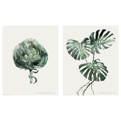 Bilden visar två distinkta gröna växtillustrationer, en med detaljerad kronärtskocka, en annan med tropiska blad, på vit bakgrund.
