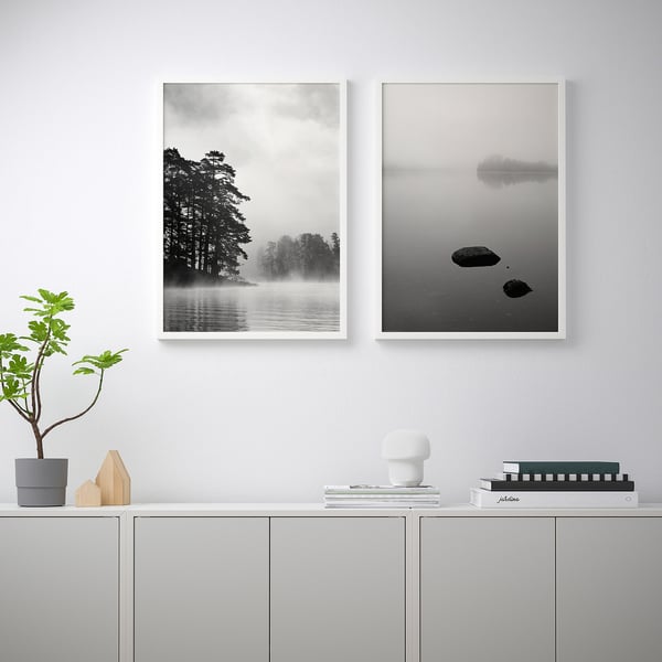 Svartvita naturfoton över skåp med växt, prydnadsföremål, böcker, lampa.