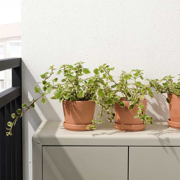 Tre terrakottakrukor med gröna växter på en hylla, perfekt för utomhusbruk.