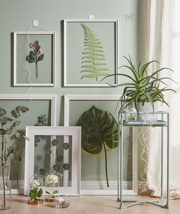 Vit inramad växtkonst, suckulenter, ormbunks- och bärtryck, terrarium, växtstånd.