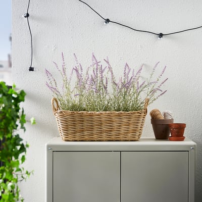 FLODBJÖRK flätad korg med lila blommor på grått skåp, mindre krukor, snöre, grön växt, vägglampor.