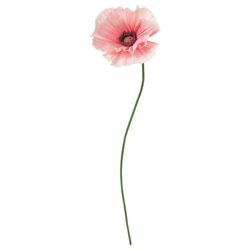 GULDSPETT Konstgjord blomma, papper/Vallmo rosa, 40 cm