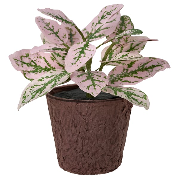 SMÅTÄRNA Konstgjord krukväxt, papper/åderblad, 6 cm